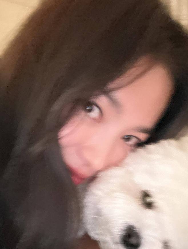 송혜교 SNS