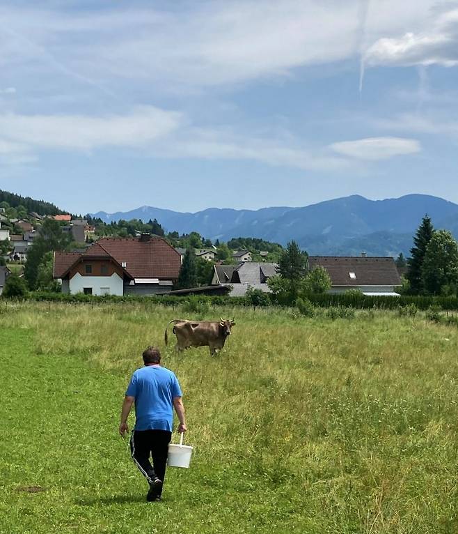 오스트리아의 농부이자 제빵사인 위트가르 비겔레 씨와 반려 암소인 베로니카. A.J. Osuna-Mascaro 제공