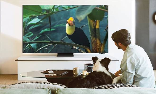 2025년형 삼성 OLED TV.  삼성전자 제공
