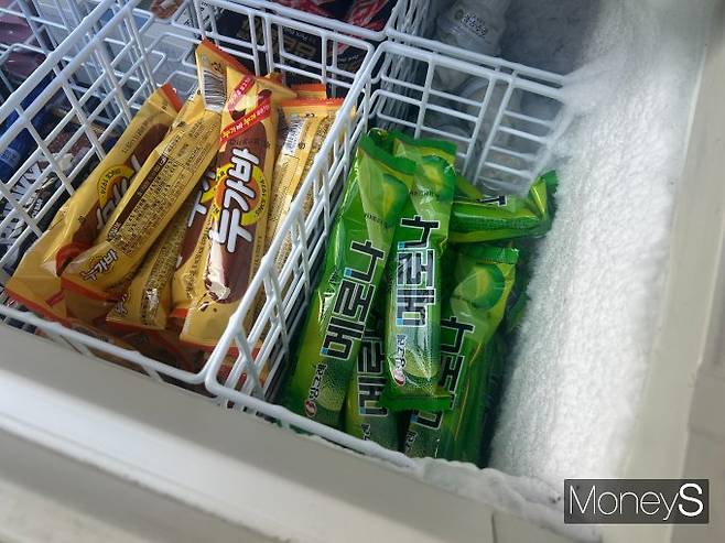 빙그레가 해태아이스크림을 흡수합병하며 물류 통합을 통한 수익 구조 혁신에 나섰다. 사진은 서울 시내 한 편의점에 진열된 해태아이스크림 누가바와 빙그레 메로나. /사진=고현솔 기자