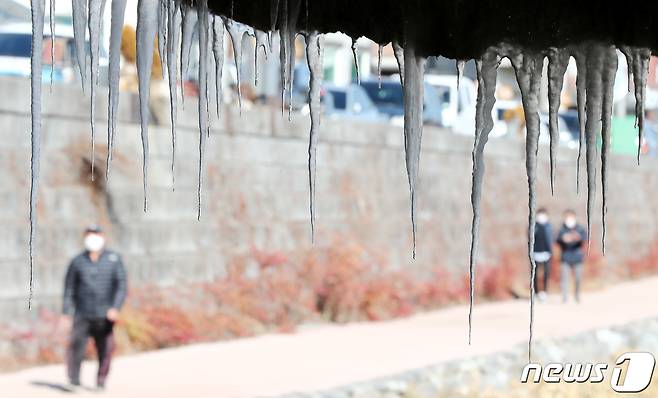21일 대전·충남은 아침 기온이 -10도 안팎의 강추위가 이어질 것으로 예보됐다. 충남 공주 선화교에 고드름이 얼어 있다. /뉴스1 ⓒ News1 김기태 기자