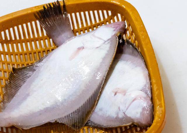 용가자미 무안부의 자색 Y자 무늬가 선명하다.