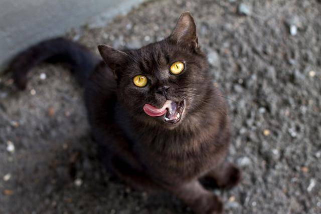 게티이미지뱅크