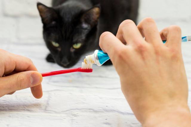 게티이미지뱅크