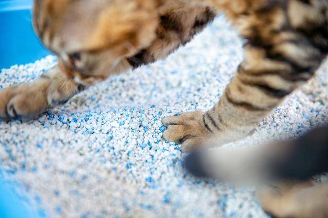 게티이미지뱅크