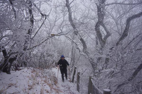 주흘산은 경북 문경시 문경읍을 병풍처럼 둘러싼 문경의 진산이자 문경새재도립공원을 대표하는 산이다. 취재팀이 주흘산 주봉에서 영봉으로 이어지는 1000ｍ 능선에 핀 몽환적인 상고대 터널을 지나고 있다.