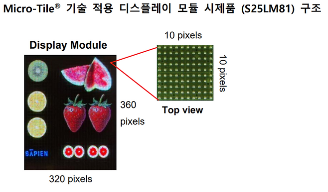 사피엔반도체 마이크로타일 <사피엔반도체>