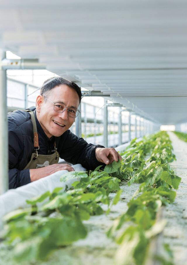 이명곤 에코그로잉 대표. 스마트팜을 이용한 양액재배 기술을 통해 고추냉이를 안정적으로 생산해 소득을 높이고 있다.