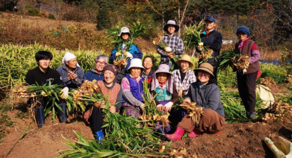 서정홍 농부시인(왼쪽 세 번째)과 합천 나무실 마을 주민들이 밭에서 농작물을 수확하다 사진을 찍고 있다. /서정홍