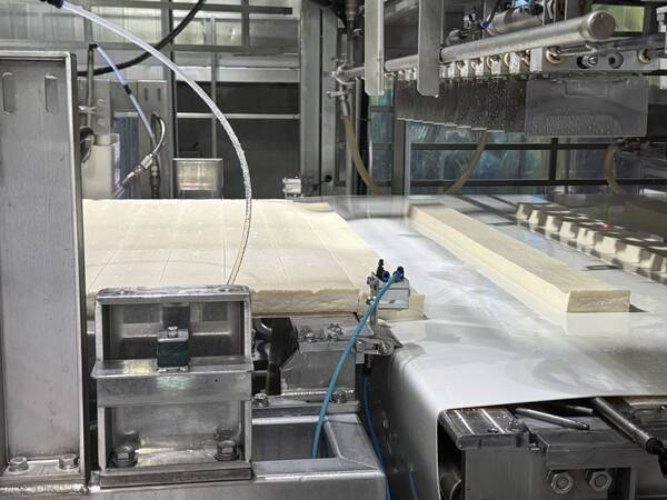 풀무원 음성 두부공장에서 두부가 일정한 크기로 절단된 뒤 자동 담김 설비를 통해 용기에 정렬·충진되는 장면. [출처=전제형 기자]