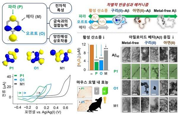 저분자 화합물의 위치 이성질체에 따른 알츠하이머병의 다중 발병 기전에 대한 차별적 반응성 및 메커니즘 / 카이스트