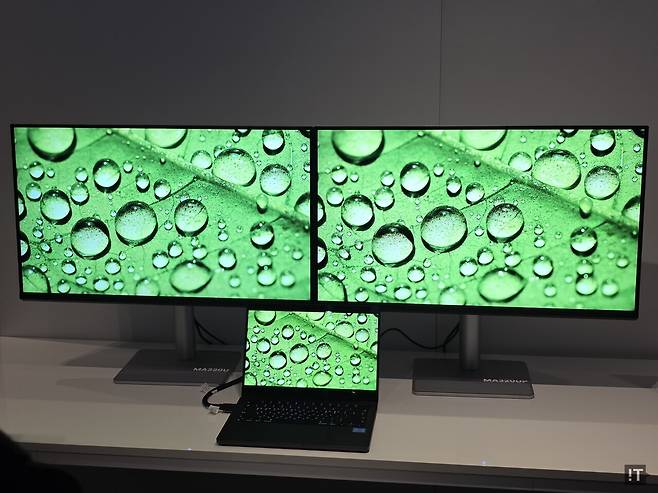 매트 패널의 벤큐 MA320U(왼쪽) 제품과 글로스 패널의 MA320UP 제품에 맥북(가운데 아래)이 데이지 체인으로 연결돼 있는 모습. / 정종길 기자