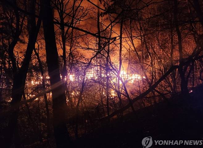 부산 기장군 산불…진화율 65% 산불 사진=연합뉴스
