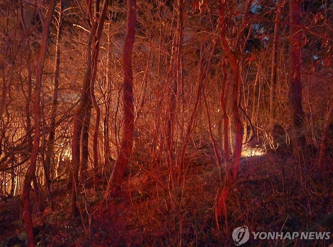 부산 기장 산불