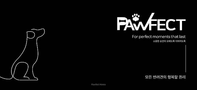 이미지=포펙트코리아 제공