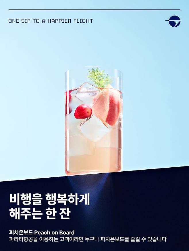파라타항공 제공