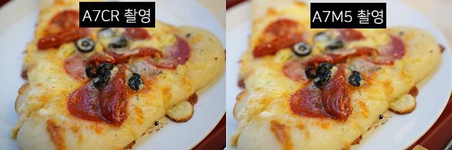 동일한 설정과 렌즈로 촬영한 결과물. A7M5(우)의 결과물이 A7CR(좌)보다 조금 더 밝은 느낌을 준다 / 출처=IT동아