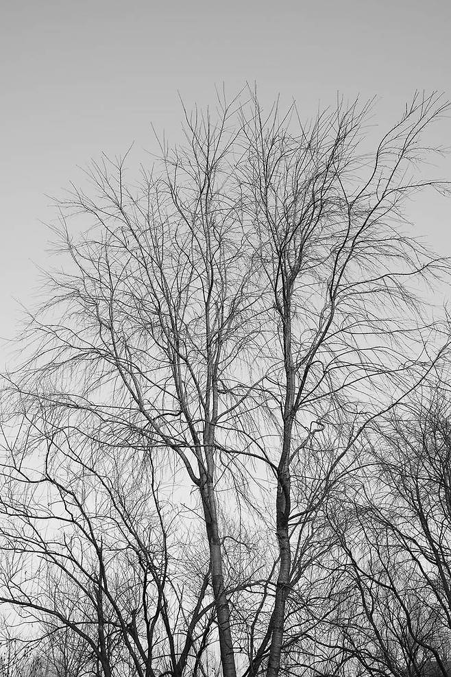 디지털 처리 기술의 발달로 묘사력은 흠잡을 데 없는 수준이 되었다 / 출처=IT동아