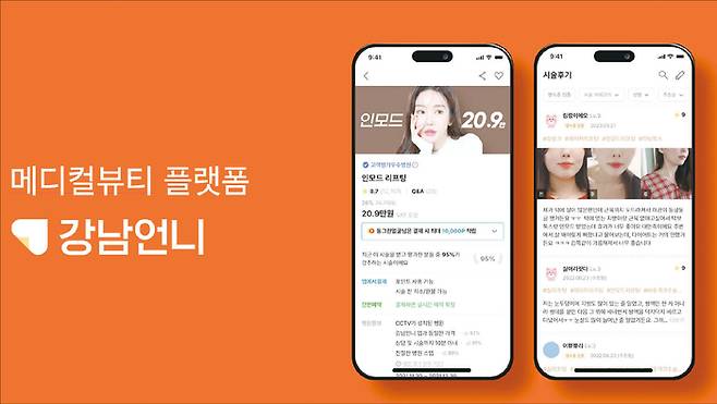 미용 의료 정보 플랫폼 ‘강남언니’ 서비스 사진. (힐링페이퍼 제공)