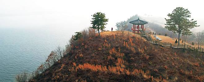 충남 부여 양화면의 유왕산 전경. 금강이 내려다뵈는 정자가 세워진 저 언덕 위에서 백제 유민들이, 당나라로 끌려가는 의자왕과 백제 대신들을 태운 배를 눈물로 배웅했다고 전해진다.