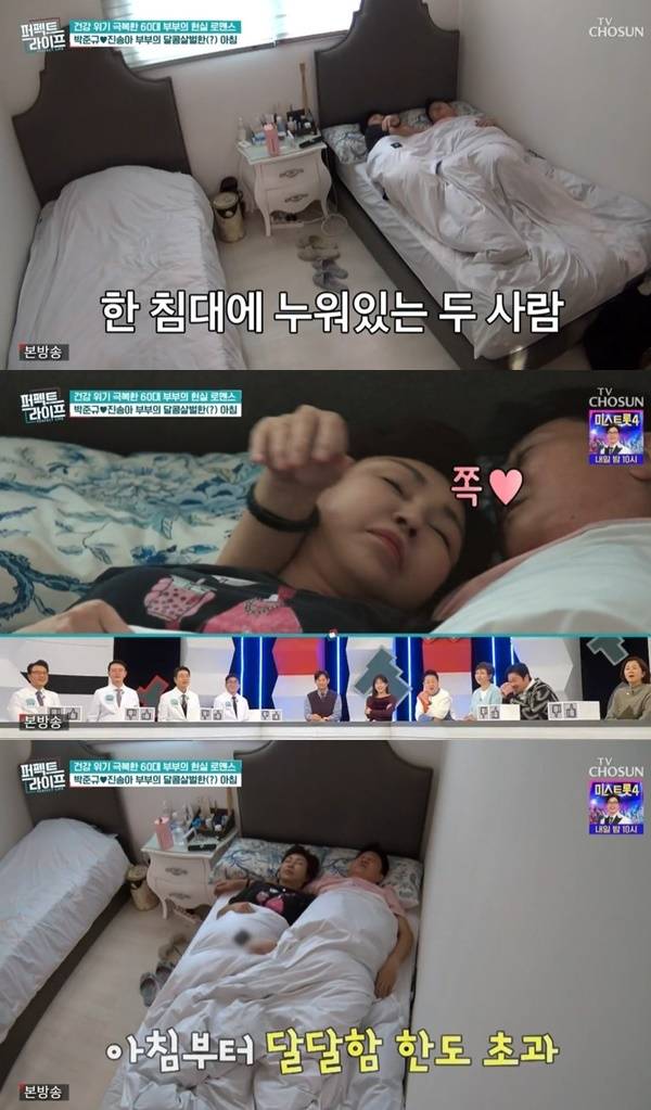 TV조선 ‘퍼펙트라이프’