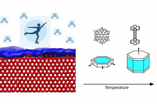 스케이터 발밑 얼음 분자 위 준용융층이 녹기 직전의 모습(왼쪽), 온도 상승에 따른 얼음의 결정 구조 변화 모습(오른쪽)  스페인 마드리드 콤플루텐세대 제공