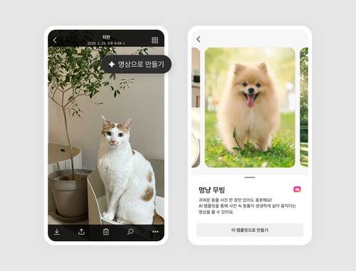 사진 제공=카카오