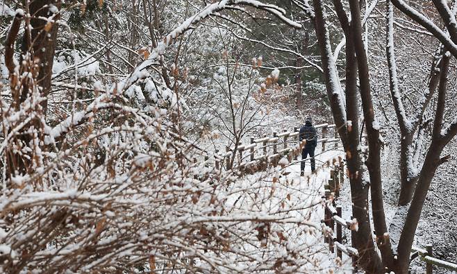 19일 경기도 수원시 영통구 한 공원에서 시민이 눈 쌓인 산책로를 걷고 있다. (사진= 연합뉴스)