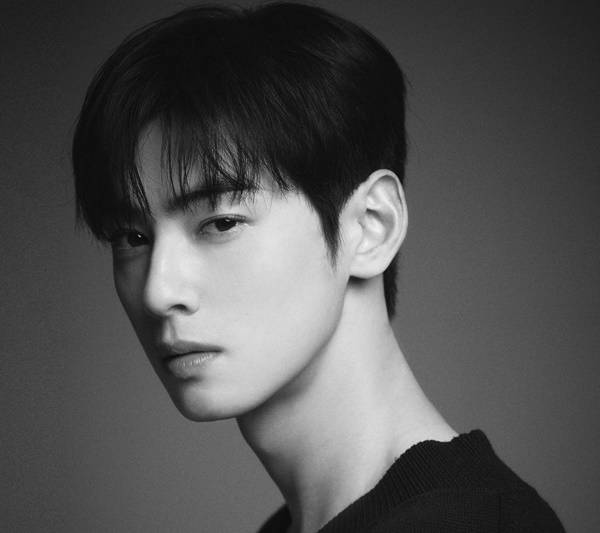 차은우. 판타지오