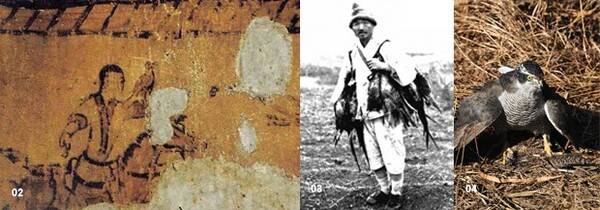왼쪽부터 고구려시대 고분인 삼실총 벽화에 그려진 매사냥, 꿩을 많이 거둔 수알치, 사냥매.