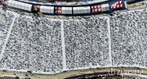 ◇개막 15일째인 24일, 화천산천어축제를 방문한 수많은 관광객들이 산천어 얼음낚시를 즐기고 있다.