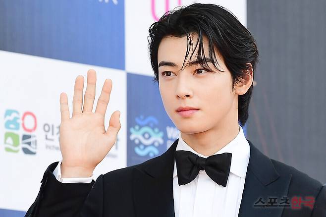 '제2회 청룡시리즈어워즈' 시상식 레드카펫 행사에 참석한 차은우. ⓒ이혜영 기자 lhy@hankooki.com