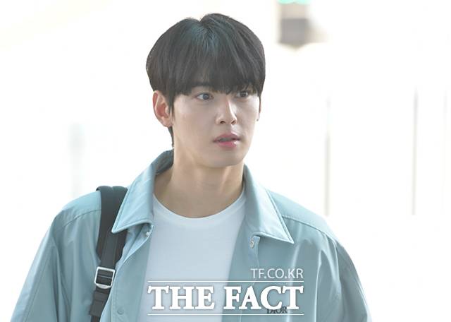 [TF초점] 차은우, 얼굴도 '200억 탈세 의혹'도 월드클래스