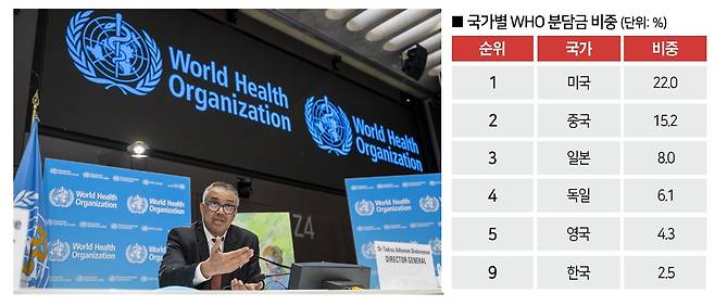 테워드로스 아드하놈 거브러여수스 WHO 사무총장.[자료｜WHO, 사진｜연합뉴스]