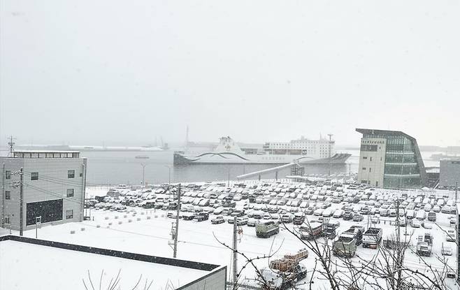 25일 오전 폭설이 내려앉은 울릉 사동항에 대형 크루즈(뉴씨다오펄호)가 입항하고 있다. 화려한 설경 이면에는 섬 주민들의 시린 겨울나기가 시작되고 있다.