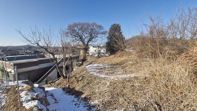 충남 아산시 영인면 아산리 조명암(조영출)이 태어난 곳은 현재 빈터로 남아 있다. 측백나무와 밤나무가 서있는 곳이 옛집터로 추정된다. 김재근 선임기자