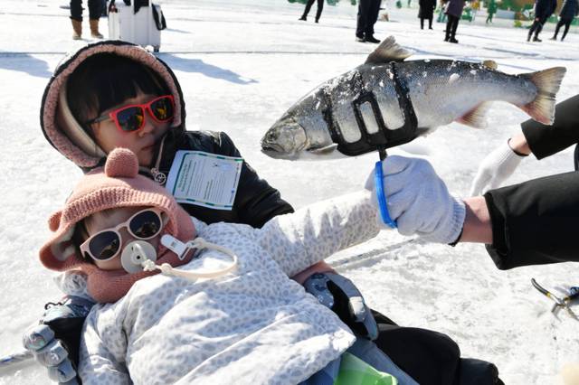 ▲ 1월 마지막 휴일인 25일 화천산천어축제장을 찾은 외국인 관광객들이 전용낚시터에서 산천어 얼음낚시를 즐기고 있다.