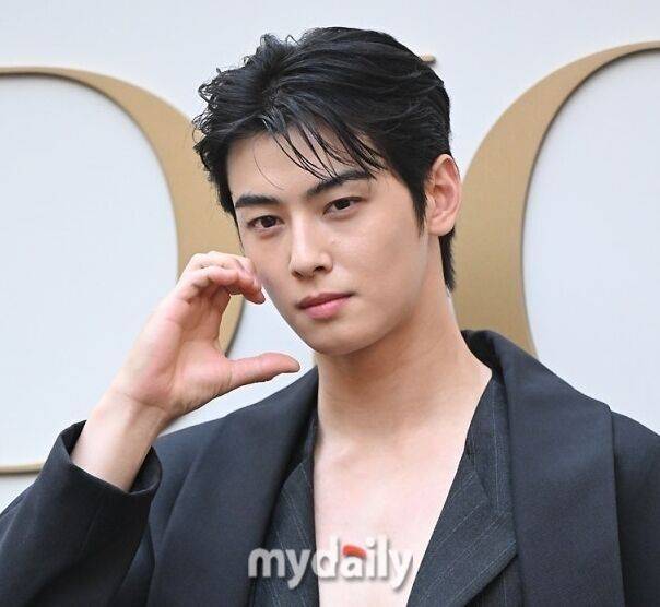 차은우./마이데일리DB