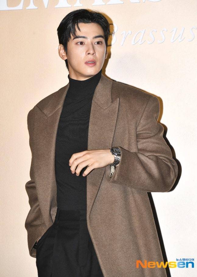 뉴스엔 DB 차은우