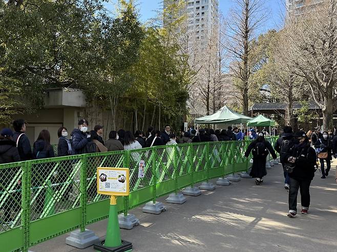 이틀 뒤 중국으로 떠나는 일본의 마지막 판다 샤오샤오, 레이레이의 모습을 보려고 25일 도쿄 우에노동물원을 찾은 이들이 판다 우리 입장을 기다리며 줄을 서고 있다. 인터넷 신청에서 당첨된 4400명에게만 관람 기회가 주어진 이날의 경쟁률은 24.6 대 1로 집계됐다. 도쿄=유태영 특파원