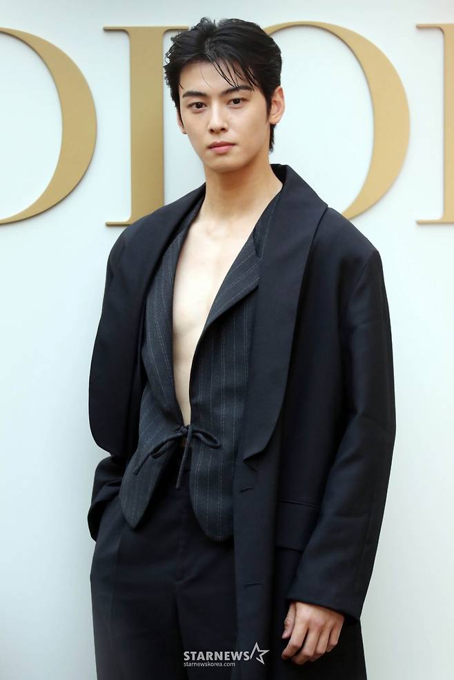 배우 차은우  /사진=임성균