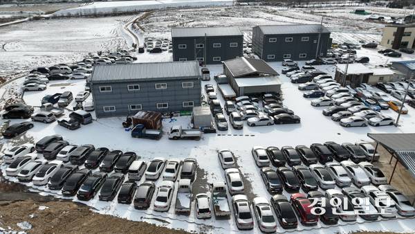 26일 화성시 남양읍의 한 압수·압류 차량 보관소에 경기남부경찰 관할 지역에서 음주운전 범죄로 압수된 차량들이 주차돼 있다. 2026.1.26 /최은성기자 ces7198@kyeongin.com