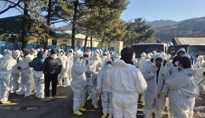 ▲ 포천시 관인면의 한 돼지농장에서 아프리카돼지열병(ASF)이 발생한 가운데 지난 25일 방역당국과 살처분 인력이 방호복을 착용한 채 현장에 집결해 살처분 작업을 준비하고 있다./사진제공=포천시