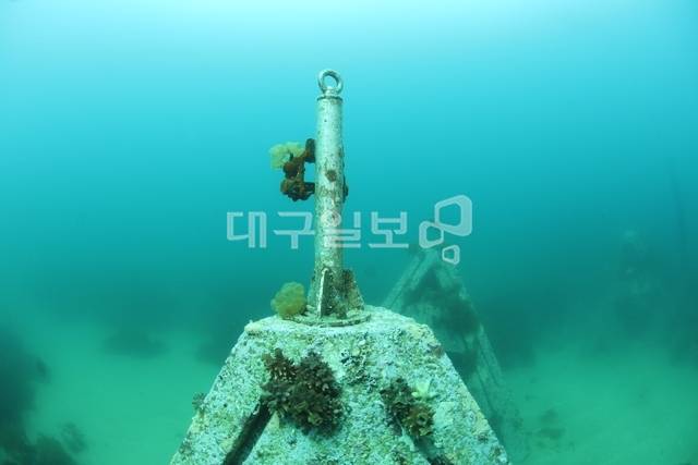 강원 강릉시 연곡면 해역에서 '수중 저연승' 방식으로 설치된 인공구조물이 부실공사로 인해 해조류 종자가 모두 탈락한 채 방치돼 있다. 해양특별취재팀