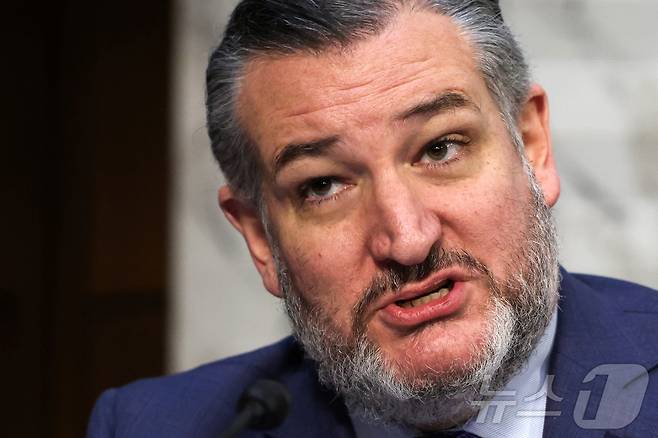 테드 크루즈 미국 공화당 상원의원. 2025.01.30 ⓒ 로이터=뉴스1 ⓒ News1 이지예 객원기자