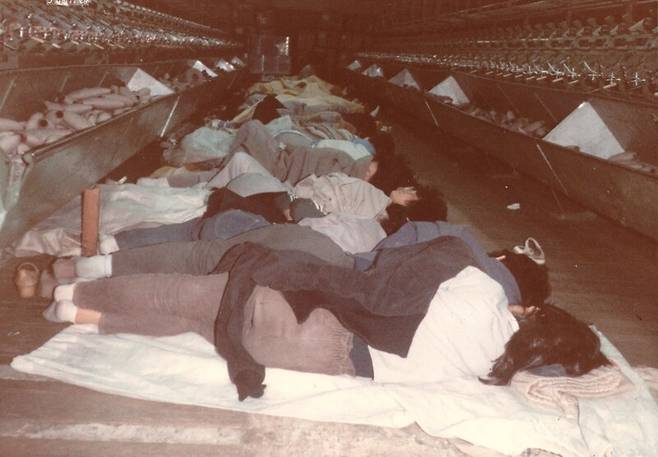 섬유·직물 공장 원풍모방의 여성 조합원들이 1982년 9월27일부터 10월1일까지 진행된 공권력의 노조 파괴에 맞서 작업장 기계들 사이에서 새우잠을 자며 농성장을 지키고 있다. 필자 제공