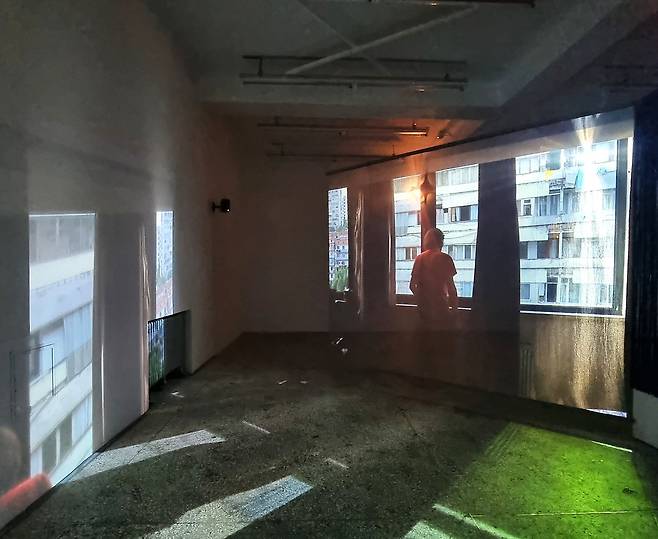 2024년 바이오갤러리에서 열린 기예림 개인전. 서울문화재단이 지원했다. [사진 이준]