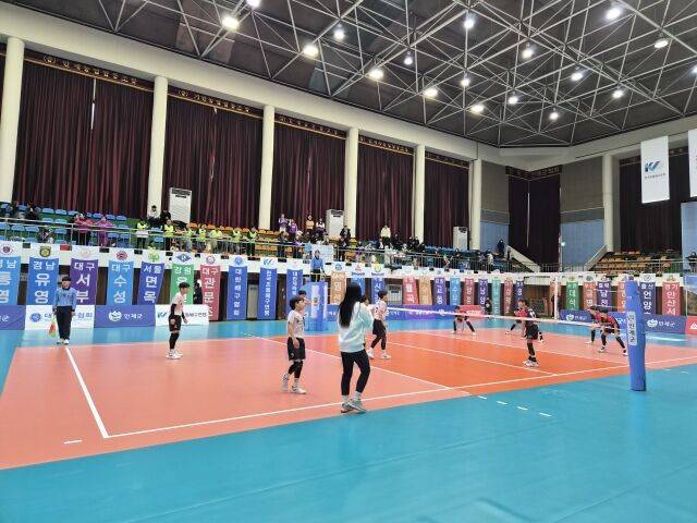 대회 현장./한국초등배구연맹