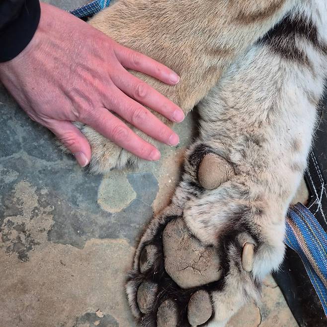 [청주동물원 인스타그램]