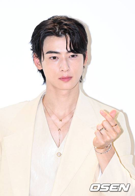 '200억 탈세 논란' 차은우, 최근 휴가 후 복귀..군대서 직접 입장낼까 [단독]